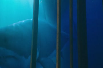 47 Meters Down 2017 in Hindi thumb