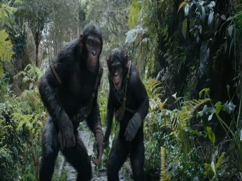 Kingdom of the Planet of the Apes 2024 Hindi Dubb thumb